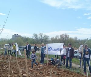 ДивиМИР принял участие в акции "Дарим лес"