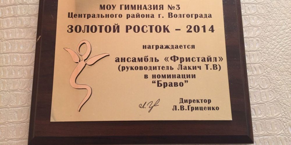 Ансамбль «Фристайл» получил награду в номинации «Браво» в ежегодной премии «Золотой Росток-2014»